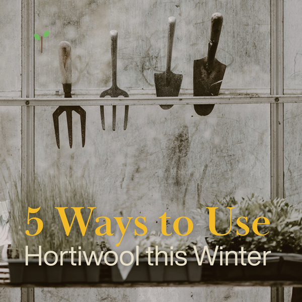 5 Ways to Use Hortiwool this Winter