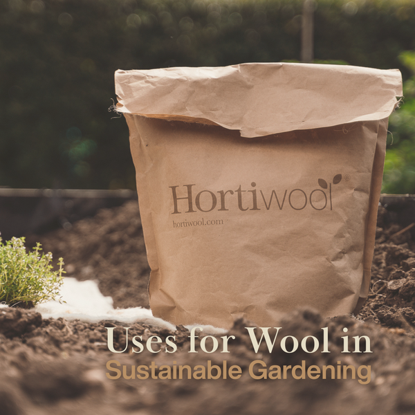 Uses for Wool in Sustainable Gardening