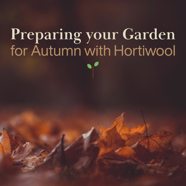 Preparing Your Garden for Autumn