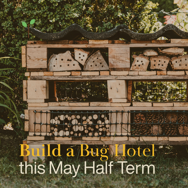 Build a Bug Hotel This May Half Term with Hortiwool