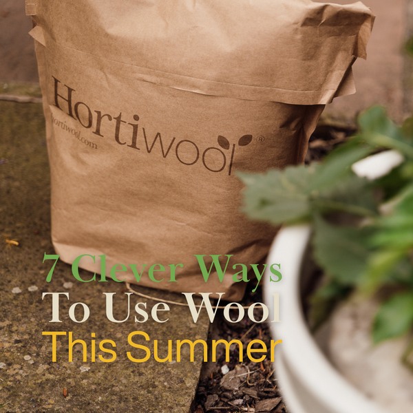 7 Clever Ways to Use Wool in the Garden This Summer | Hortiwool