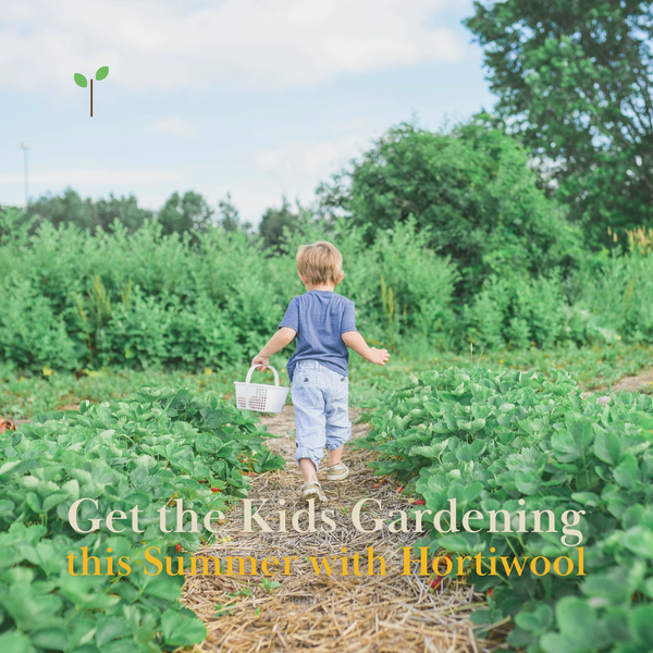 6 Summer Holiday Activities: Get the Kids Gardening This Summer!