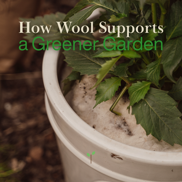 How Wool Supports a Greener Garden