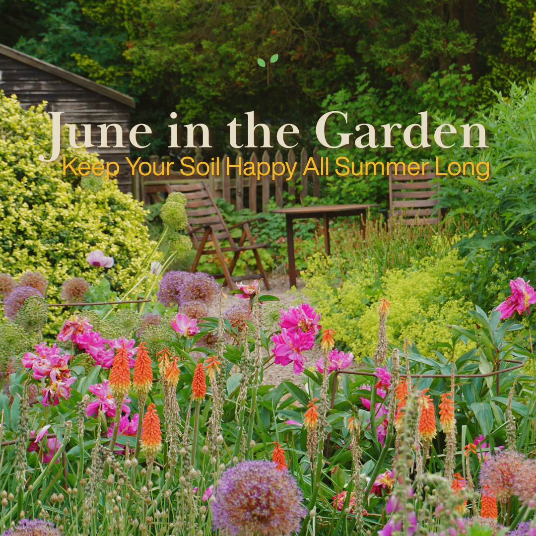 June in the Garden: Keep Your Soil Happy All Summer Long | Hortiwool