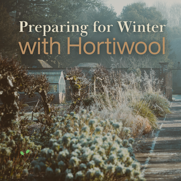 Preparing for Winter with Hortiwool