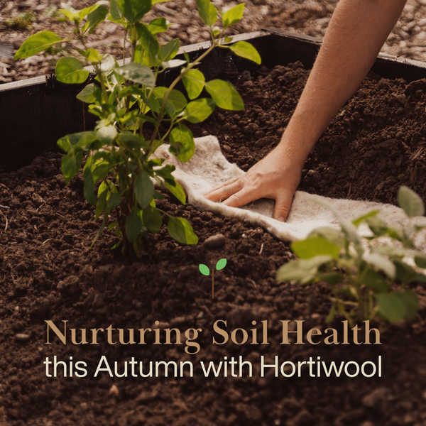 Nurturing Soil Health This Autumn with Hortiwool