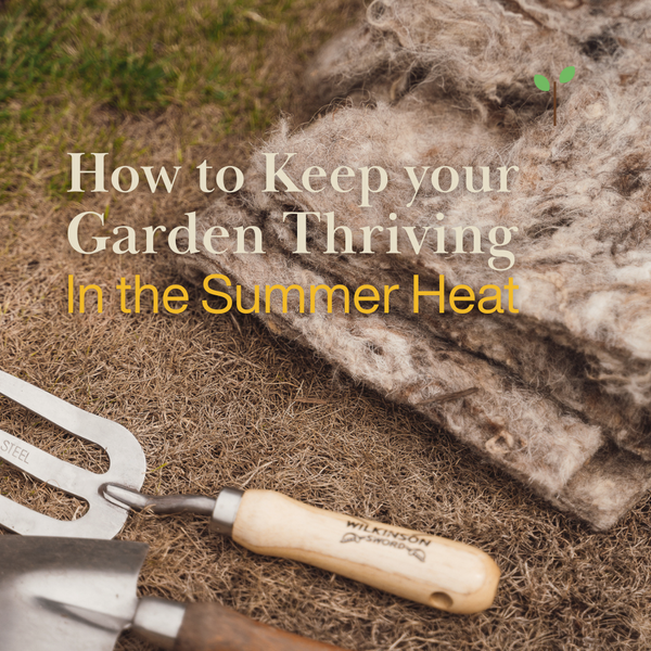 How to Keep Your Garden Thriving in the Summer Heat - The Hortiwool Way