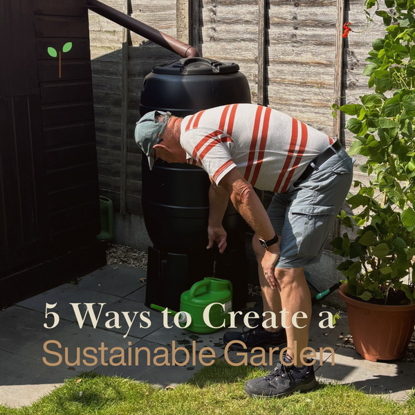 5 Ways to Create a Sustainable Garden