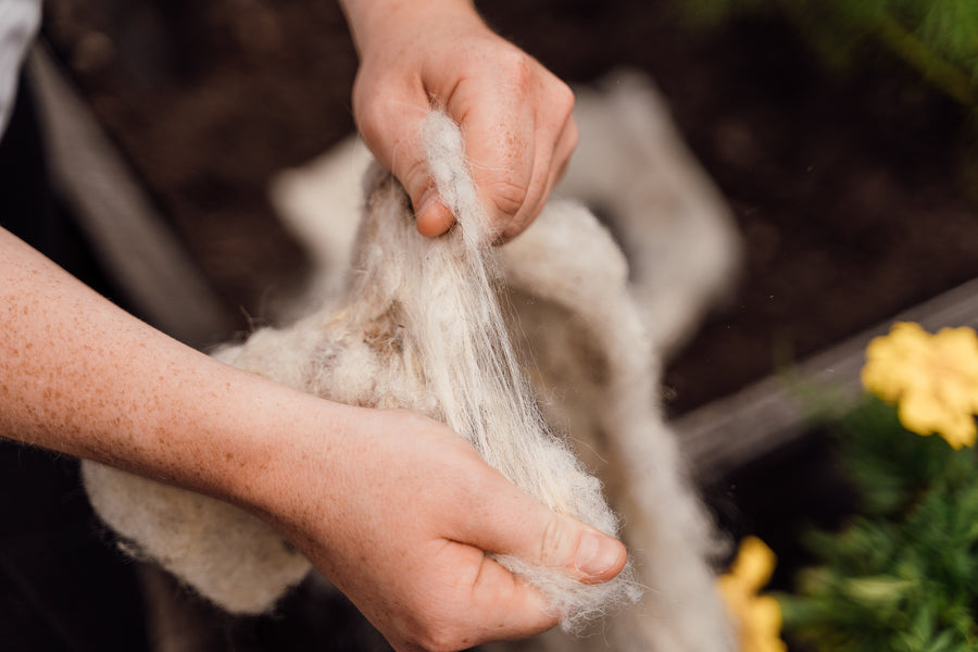 5 Ways To Use Wool To Improve Soil Health
