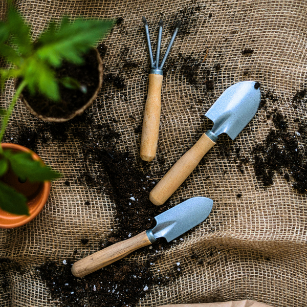 Sustainable Gardening Practices for Eco-Conscious Gardeners