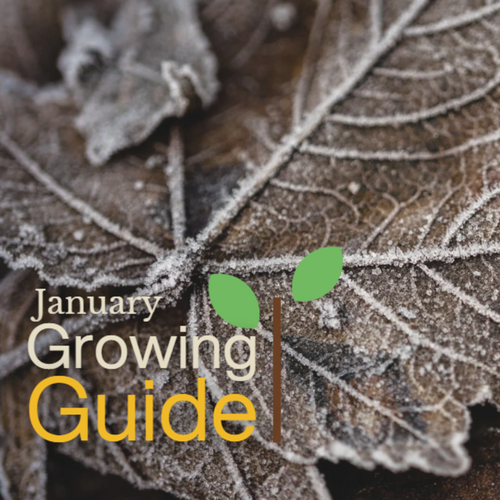 January Growing Guide: Gardening in 2025