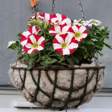 Load image into Gallery viewer, 100% Pure Hortiwool Hanging Basket Liners sized to fit 12&quot;, 14&quot; &amp; 16&quot; (2 liners per pack)
