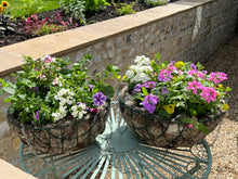 Load image into Gallery viewer, 100% Pure Hortiwool Hanging Basket Liners sized to fit 12&quot;, 14&quot; &amp; 16&quot; (2 liners per pack)
